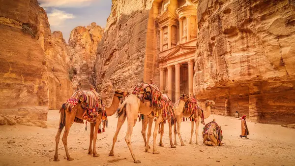 Rij Kamelen Voor Schatkist Khazneh Petra Jordanië — Stockfoto
