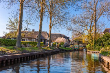 Bahar zamanı Duch evleri ve kanallarıyla huzurlu manzara, Giethoorn, Hollanda