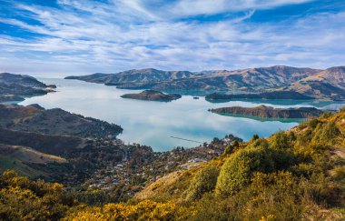 Yeni Zelanda, Banks Peninsula 'daki Lyttleton Limanı' nın manzarası