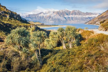 Hawea Gölü ve Dingle Tepesi, Neck, Güney Adası, Yeni Zelanda