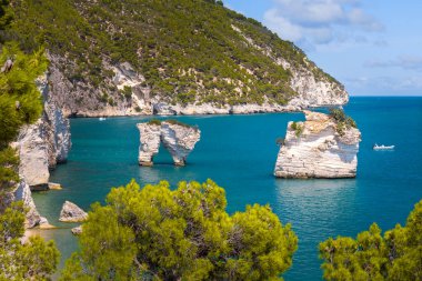 Faraglioni di Puglia (Puglia Stacks) ünlü Aia delle Zagare (Zagare Körfezi) veya Baia dei Mergoli (Mergoli Körfezi), Gargano Ulusal Parkı, Puglia, İtalya