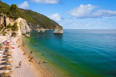 Faraglioni di Puglia, Gargano Ulusal Parkı, Puglia, İtalya ile Baia dei Mergoli 'nin (Mergoli Körfezi) ünlü Baia delle Zagare' nin panoramik manzarası