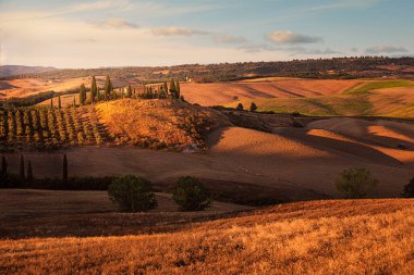 Tuscany kırsalındaki yuvarlanan tepelerde çiftlik evleri ve selvi ağaçları, San Quirico d 'Orcia, İtalya