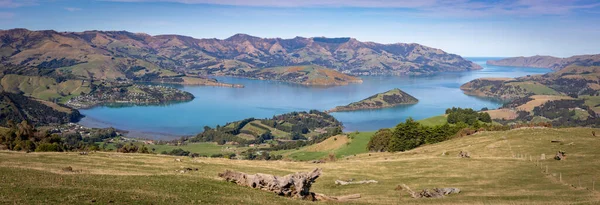 Naturskön Utsikt Över Akaroas Hamn Bankhalvön Nya Zeeland Högupplöst — Stockfoto