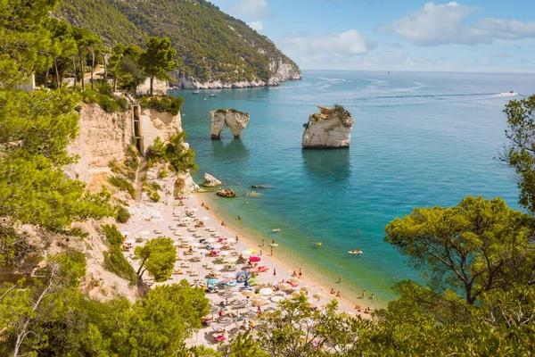 Faraglioni di Puglia, Gargano Ulusal Parkı, Puglia, İtalya ile Baia dei Mergoli 'nin (Mergoli Körfezi) ünlü Baia delle Zagare' nin panoramik manzarası
