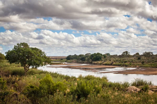 View Sabie Sand River Kruger National Park South Africa — Stock Photo, Image