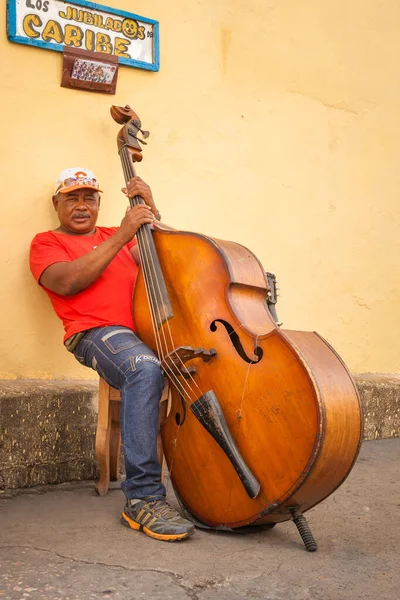 Porträt Eines Kontrabassisten Santiago Cuba Kuba — Stockfoto