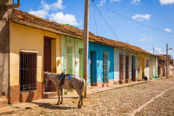 Widok Trynidadu Domami Kolonialnymi Brukowcami Końmi Trynidad Kuba — Zdjęcie stockowe