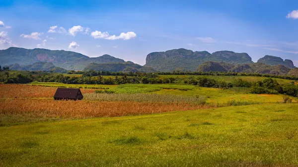 Farm Fields Mogotes Vinales Valley Cuba — Stock Photo, Image