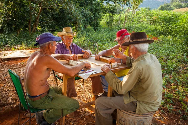 Group Elderly Farmers Playing Dominoes Country Vinales Cuba — Stock Photo, Image