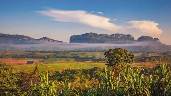 Fields Farms Mogotes Vinales Valley Cuba — Stock Photo, Image