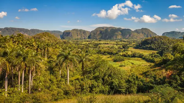 Mogotes Green Fields Vinales Valley Cuba — Stock Photo, Image