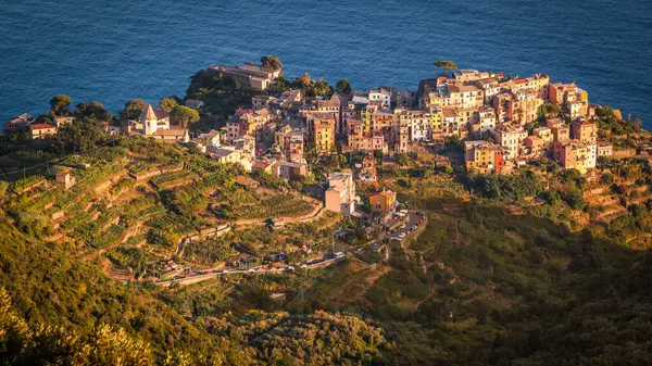 Village Corniglia Cinque Terre Spezia Italy Unesco World Heritage — Stock Photo, Image