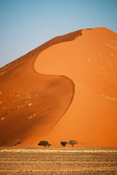 Dune Clear Blue Sky Sossusvlei Area Namib Naukluft National Park — Stock Photo, Image