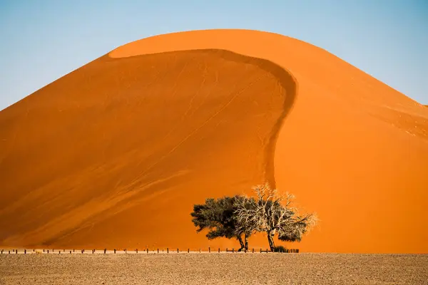 Dune Clear Blue Sky Sossusvlei Area Namib Naukluft National Park — Stock Photo, Image