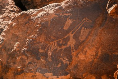 Twyfelfontein, Kunene, Namibya 'da taş sanatları gravürleri. Bu oymalar, 6000 ila 2000 yıl önce bölgede yaşamış olan San avcı-toplayıcıların orijinal eserleri..