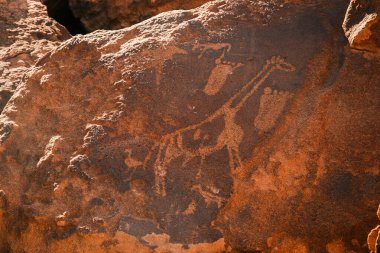 Rock art engravings at Twyfelfontein, Kunene, Namibia.  These engravings are the authentic work of San hunter-gatherers who lived in the region between 6000 and 2000 year ago. clipart