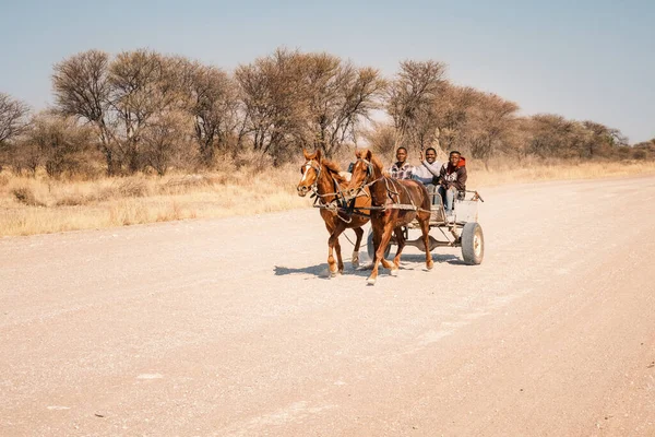 一辆马车载着树人 一个挥手 库内内地区 纳米比亚 在纳米比亚 被称为 卡拉哈里法拉利 Kalahari Ferraris 的马车经常用来运送当地人 免版税图库图片