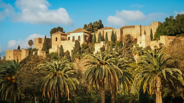 アルカサバ マラガ スペインの景色 マラガ アルカサバはスペインで最も美しいものの1つと考えられています それは中世の間にムスリムによってギブラルファロ山の斜面の上に建てられました ストックフォト