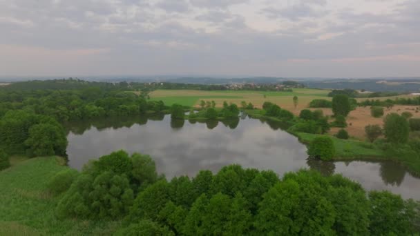 Drone Muove Lentamente Avanti Lago Appartato Mezzo Una Foresta Lussureggiante — Video Stock