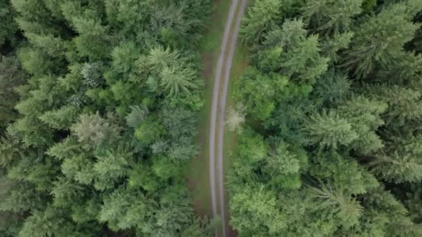Drone Lentamente Vira Seguindo Caminho Floresta Uma Perspectiva Cima Para — Vídeo de Stock