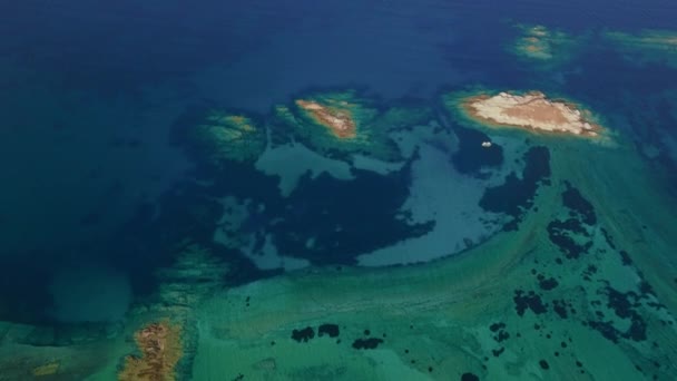 无人机在海岸线上空后退 暴露了清澈的蓝色水域和多样化的海洋生物 — 图库视频影像