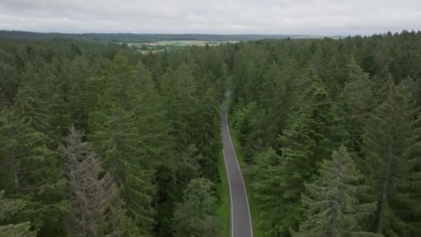 Imagens Aéreas Drones Voando Acima Estrada Cercados Por Árvores Altas — Vídeo de Stock