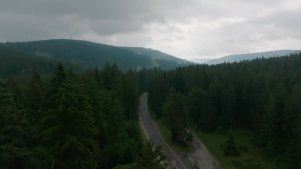 Luchtfoto Van Auto Die Een Weg Het Bos Rijden — Stockvideo