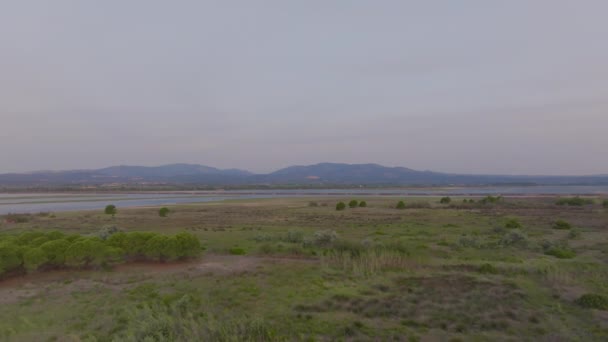 在一片茂密的湿地草地上 空中鸟瞰暮色的景象 背景是远山和静谧中倒映在水面上的身躯 — 图库视频影像