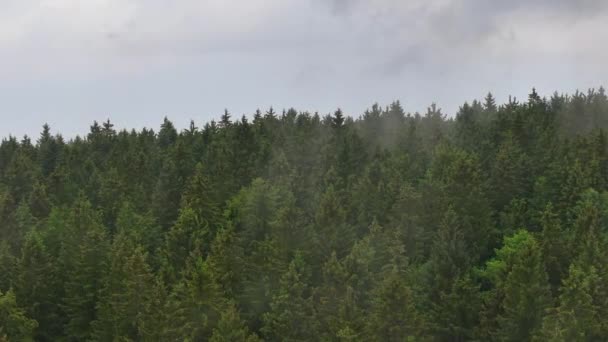 Drone Avanzando Través Una Nube Con Telón Fondo Del Bosque — Vídeos de Stock