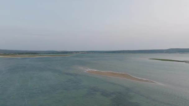 Воздушный Кадр Следующий Стаей Птиц Над Прибрежной Песчаной Полосой Окружающими — стоковое видео