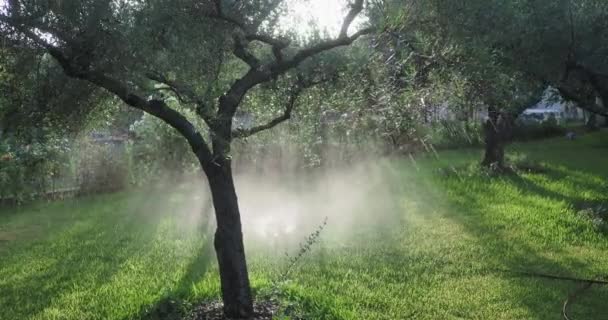 Systém Zavlažování Vody Aktivně Zavlažuje Zahradu — Stock video