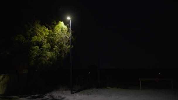 Jediná Pouliční Lampa Vrhá Jasné Světlo Strom Houpající Větru Pozadí — Stock video