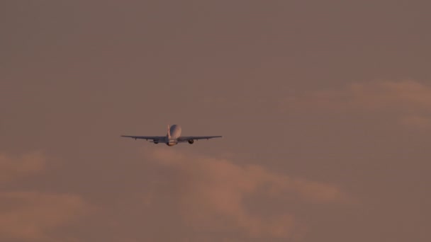 Avião Está Voando Contra Fundo Céu Noite Avermelhado Com Nuvens — Vídeo de Stock