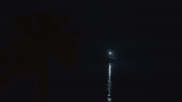 目に見える棒を持つ小さな漁船は 夜の海岸線に沿ってゆっくりとヤシの木を通過する — ストック動画