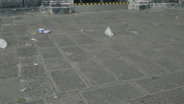 Rifiuti Scartati Come Carta Plastica Sono Sparsi Nell Area Urbana — Video Stock