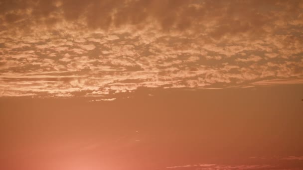 Силуэт Самолета Против Неба Облаками Красными Оттенками Заката Виден Расширенный — стоковое видео