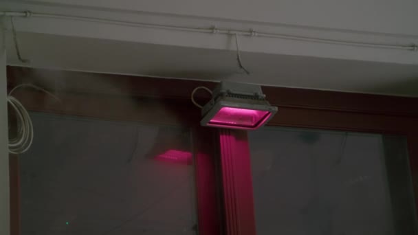 조명이 작동하는 미스트 시스템의 클로즈업 천장에 안개를 부다페스트 헝가리 — 비디오