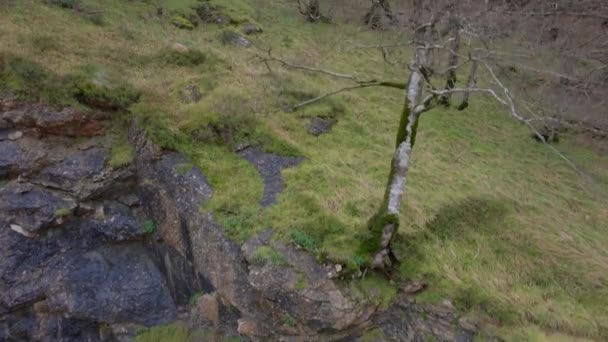 Drone Sobe Revelando Penhasco Coberto Musgo Com Árvores Terreno Gramado — Vídeo de Stock