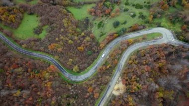 Sonbahar ağaçlarının arasında beyaz bir minibüsle dolambaçlı bir yolun üst görüntüsü