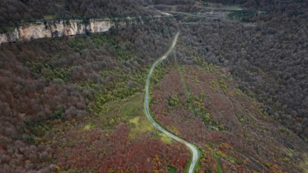 カラフルな秋の木々と車で森を横切る道を越えた映画飛行 — ストック動画