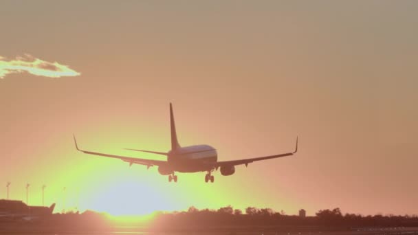 在日落的背景下 装有起落架的飞机在机场跑道上降落 — 图库视频影像