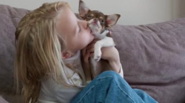 Kanepede oturan genç sarışın kız küçük Chihuahua köpeğini kafasından öpüyor.