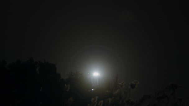 夜に着陸するための最終的なアプローチに関する2機の飛行機からのライト ツリーキャノピーの背後の一つ — ストック動画