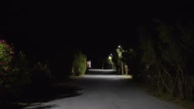 Rüzgarda sallanan ağaçlar ve çalılarla dolu bir gece sokağı, sokak lambalarının sabit ışığıyla aydınlatılmış, ve ahşap bir çitle