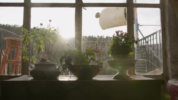 Solen Strömmar Genom Ett Fönster Mot Dekorativa Krukor Med Växter — Stockvideo