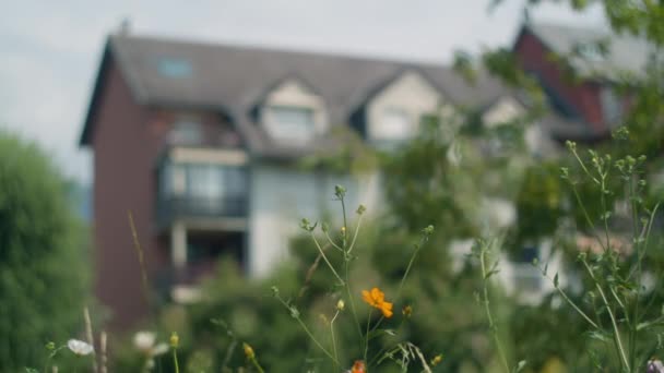 Foreground Field Flowers Sharply Focus House Soft Focus Followed House — Stock Video