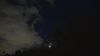 İniş ışıkları açık, iniş için gelen bir uçağın karnı bulutlu gece gökyüzüne karşı görünür.