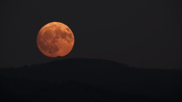 大きな満月が暗い空に向かって山脈のシルエットの上に昇る — ストック動画