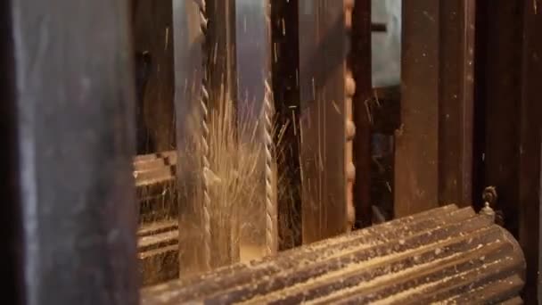 Sawmill Cutting Timber Wood Shavings Flying Midst Cutting Process — Stock Video